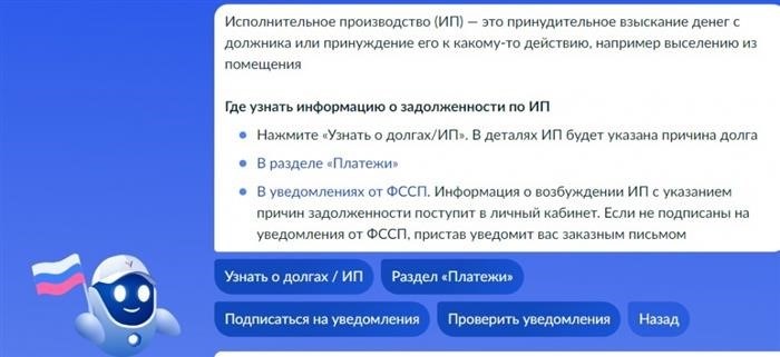 Информация об обязательствах по индивидуальному предпринимательству доступна в разделе 