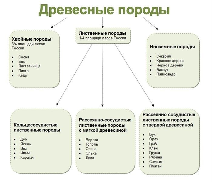 основаны на уникальных чертах и свойствах каждой породы, которые определяют ее внешний вид и поведение. Одни породы характеризуются крупным телосложением, другие - грациозностью и изящностью. Есть породы с пышной шерстью и длинными волосами, а есть с короткой и гладкой. Кроме того, некоторые породы известны своей энергичностью и подвижностью, в то время как другие предпочитают спокойствие и покой. Эти различия делают каждую породу уникальной и интересной на свой лад.