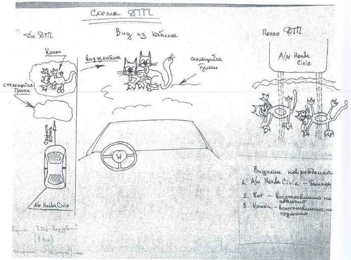 Как правильно составить объяснительную при ДТП: шутливый пример для наглядности