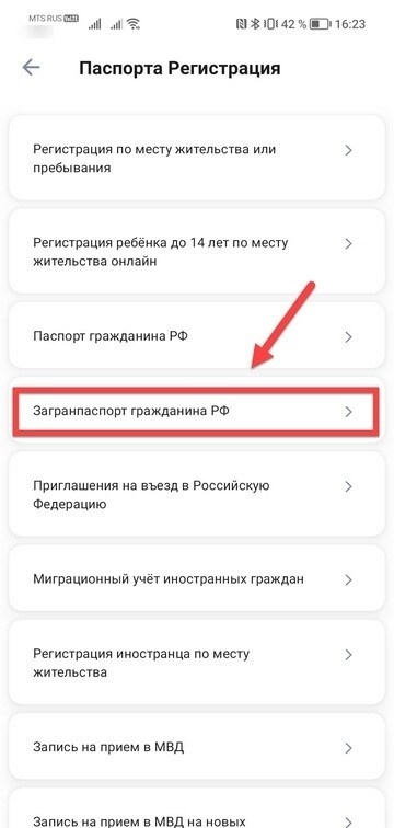 Как оформить паспорт для выезда за границу через официальный портал Госуслуги?