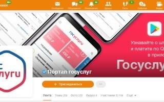 Горячая линия Госуслуг: контактный телефон для помощи на официальном веб-портале.