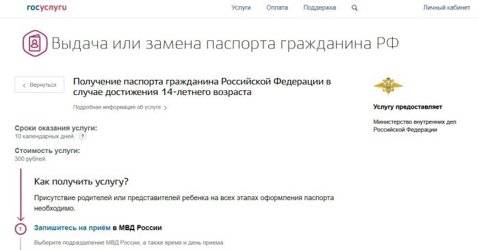 Оформление паспорта через электронную систему государственных услуг.