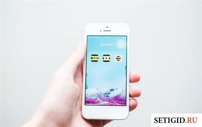 В руках у меня находится смартфон iPhone, на котором активно работает мобильное приложение от оператора связи Билайн.